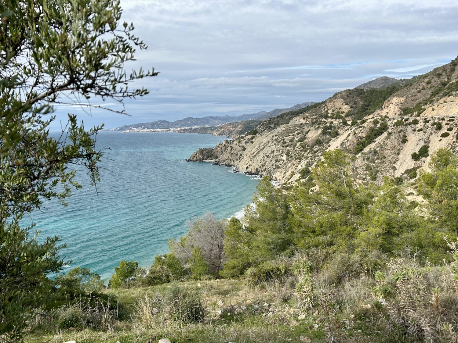 Foto 21-01-2026, 11 40 07